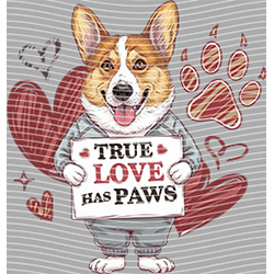 Animal Text Series-AT 3737